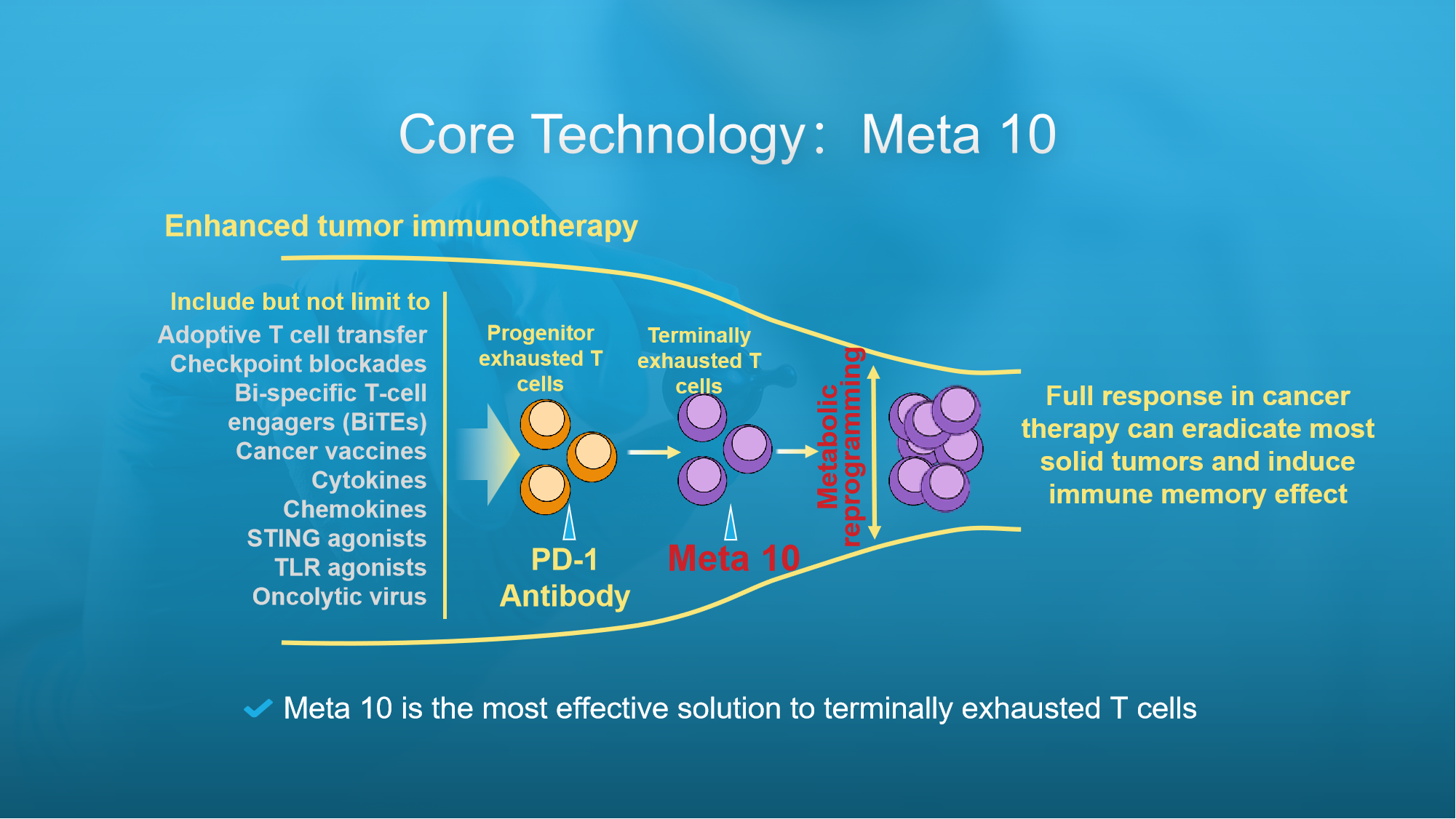 $11 Million Angel Round Financing for Leman Biotech's Innovative Cancer Immunotherapy using AI-Enabled Metabolic Reprogramming Technology